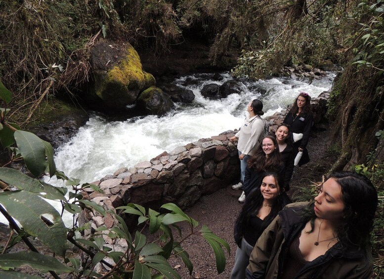 Picture 24 for Activity Quito: Papallacta Hot Springs and Hummingbirds' Farm Tour 2