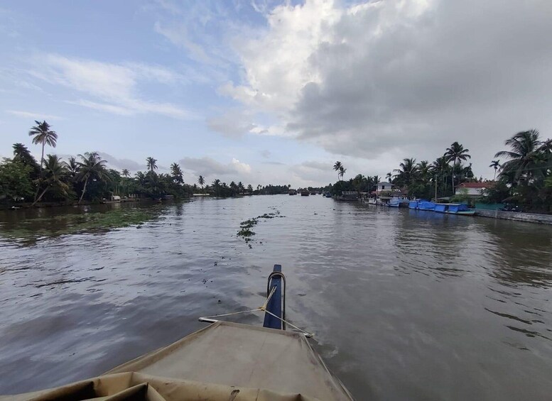 Picture 12 for Activity From Kochi: 8-Day Private Luxury Kerala Tour with Houseboat 3