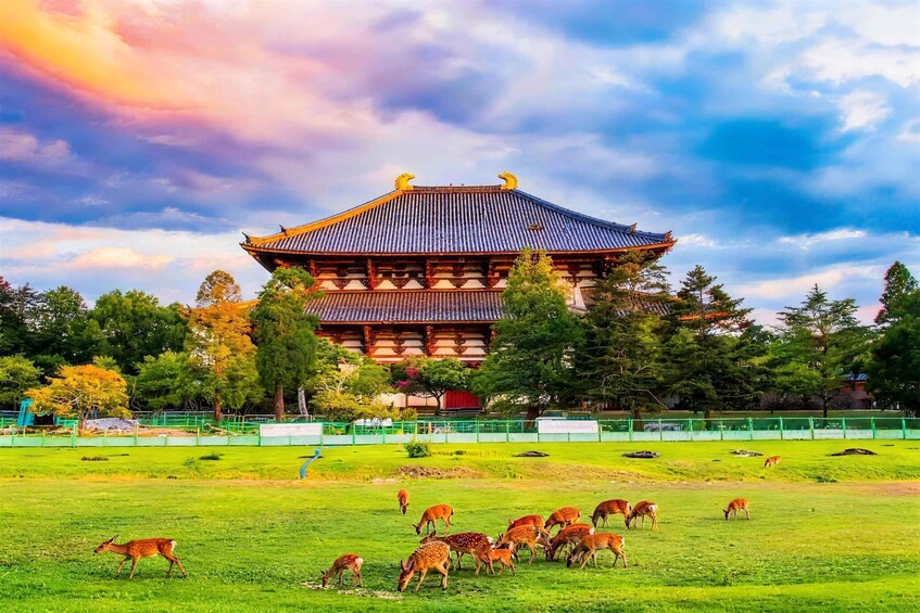 A traditional building with a tiled roof and golden finials, surrounded by a green field with grazing deer. 2