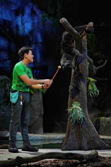 A person in a green shirt interacting with a large tree trunk. 3