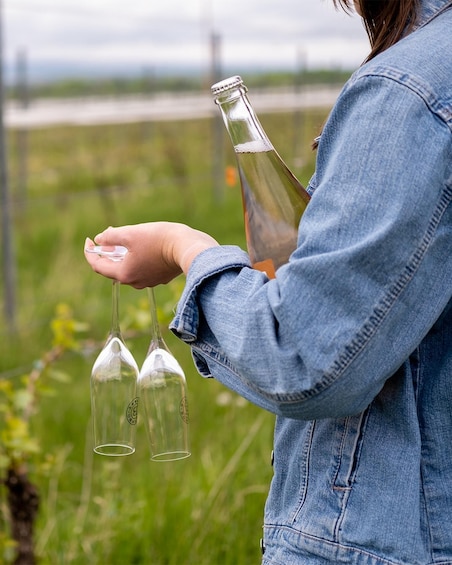 A person holding three glass bottles and a larger bottle. 4