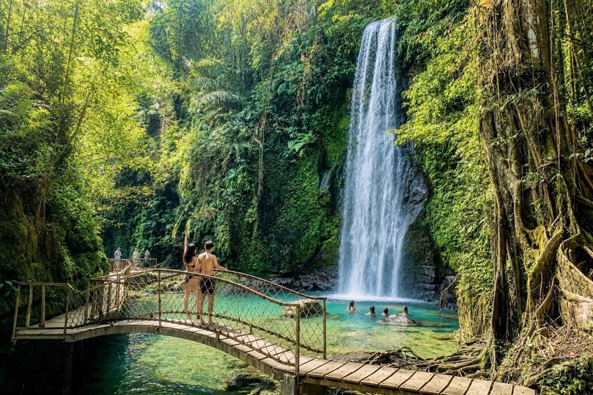 Ubud Tour with Optional English, Spanish and Italian Guide 1