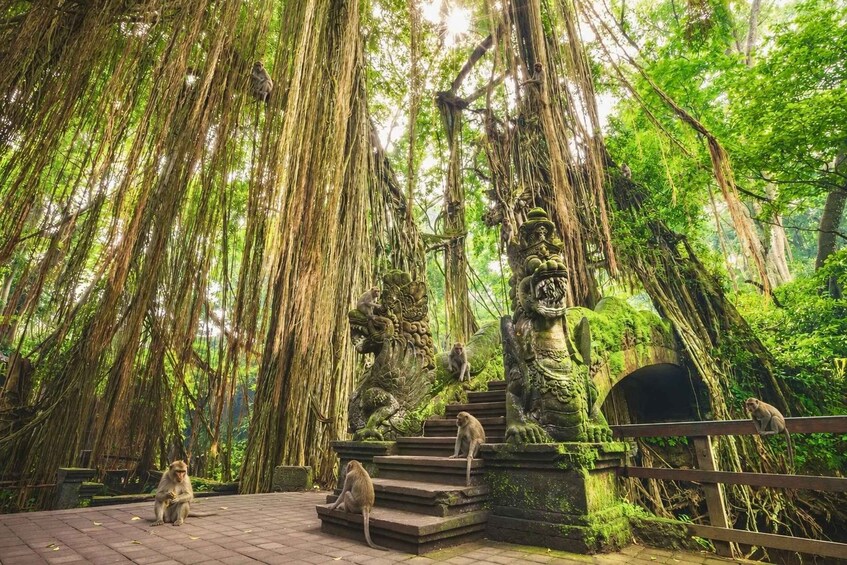 Picture 2 for Activity Ubud Tour with Optional English, Spanish and Italian Guide 2