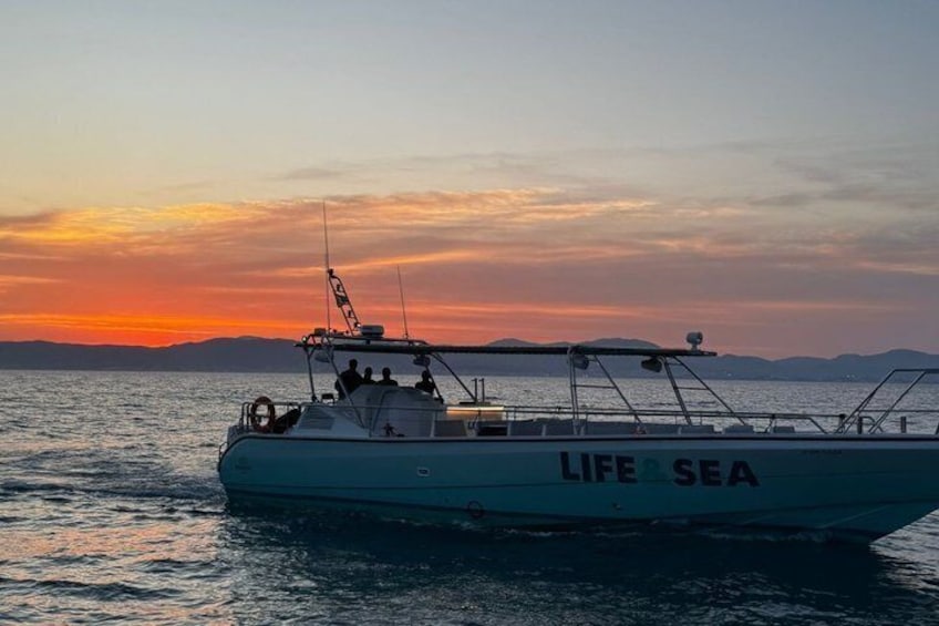 S'Arenal Boat Tour with Dolphin Watching at Dawn 2