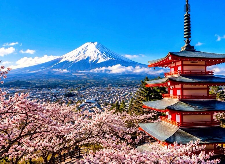 Perinteinen japanilainen pagodi, kirsikankukkia ja taustalla näkyvä Fuji-vuori. 2