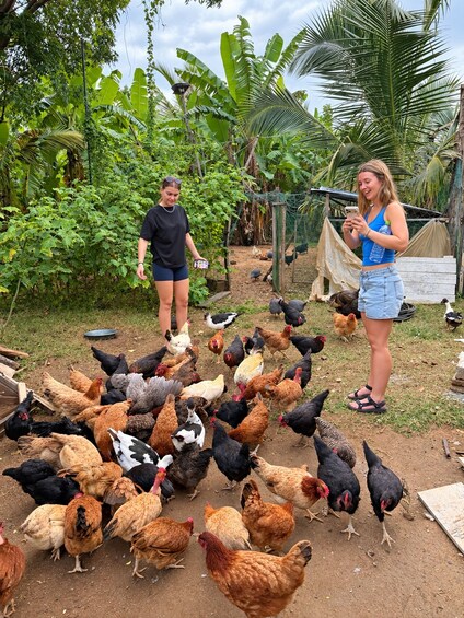 Picture 24 for Activity Yala Shared Safari with Overnight Stay & Sri Lankan Dinner 3