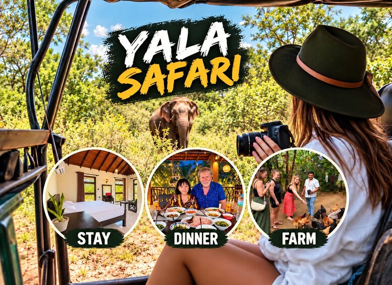 Yala Shared Safari with Overnight Stay & Sri Lankan Dinner 1