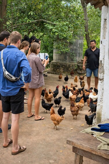 Picture 9 for Activity Yala Shared Safari with Overnight Stay & Sri Lankan Dinner 4