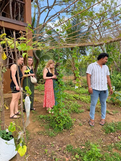 Picture 25 for Activity Yala Shared Safari with Overnight Stay & Sri Lankan Dinner 2