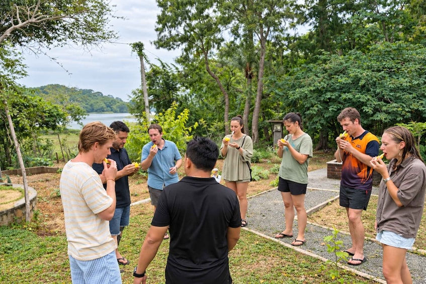Picture 4 for Activity Yala Shared Safari with Overnight Stay & Sri Lankan Dinner 5