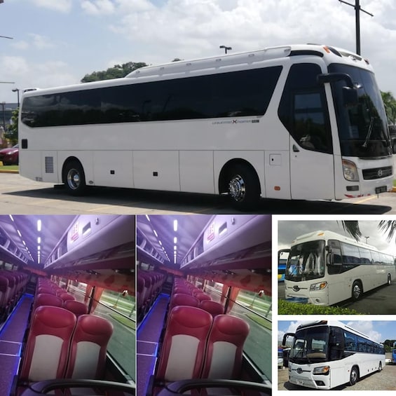 A white bus with a black front and side windows, red seats, and a logo on the side. 4
