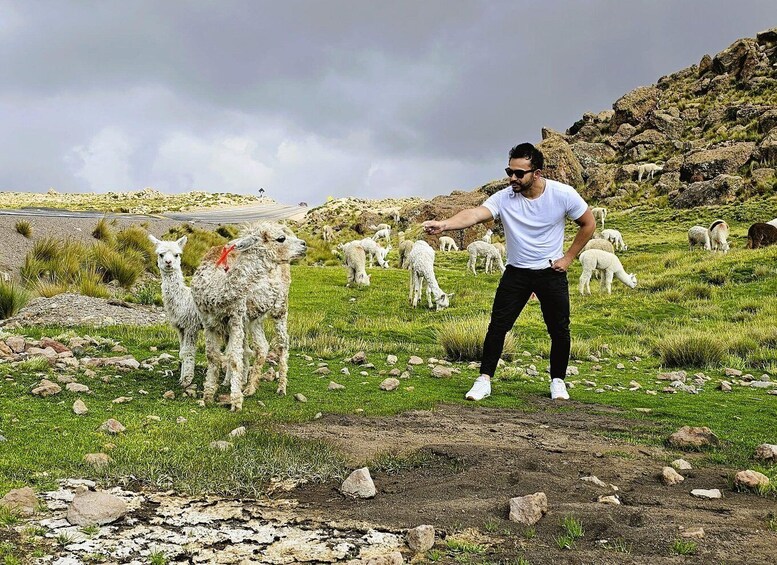 Picture 18 for Activity From Arequipa: Colca Canyon Full-Day Tour & Viewpoints 2