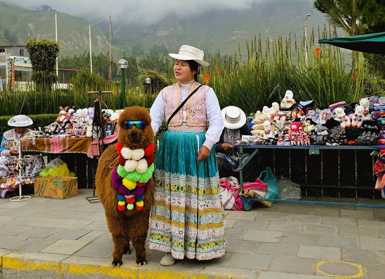Picture 2 for Activity From Arequipa: Colca Canyon Full-Day Tour & Viewpoints 4