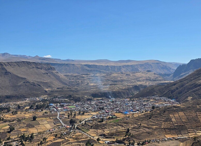 Picture 4 for Activity Day Trip from Arequipa: Explore the Majestic Colca Canyon 2