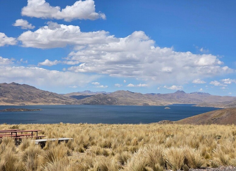 Picture 5 for Activity Day Trip from Arequipa: Explore the Majestic Colca Canyon 3
