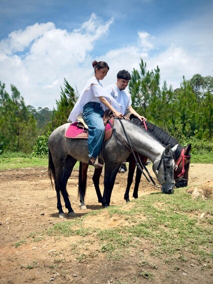 Two people riding a horse in a natural setting with trees and a clear sky. 5