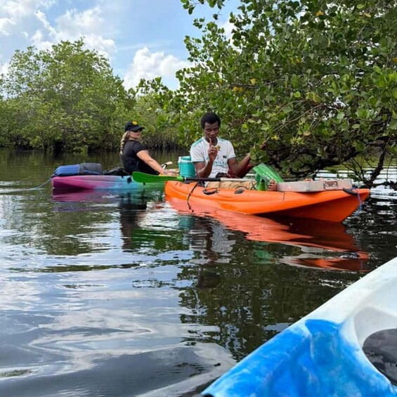 Two people in a canoe on a calm river surrounded by trees. 1