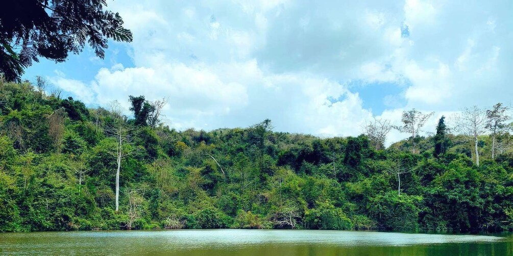 Un paisaje boscoso con un lago. 1