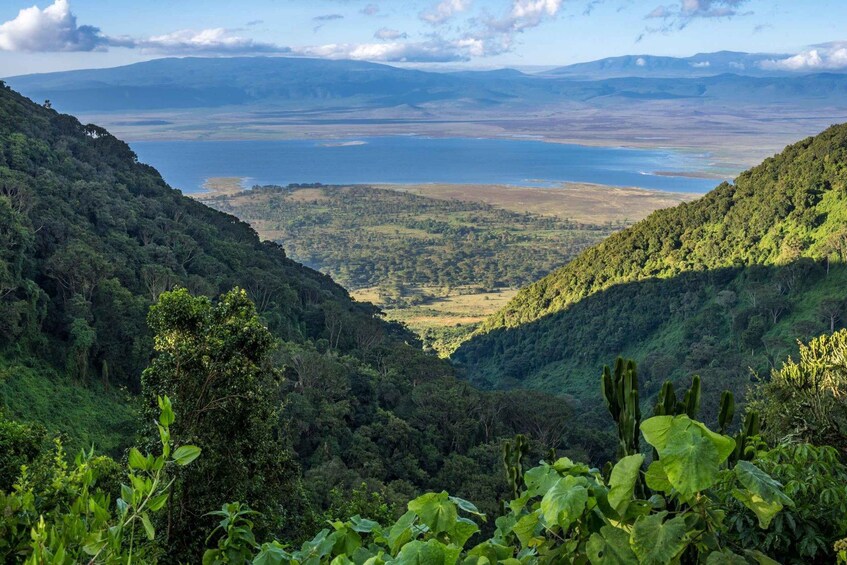Un valle con denso bosque y un lago a lo lejos. 2