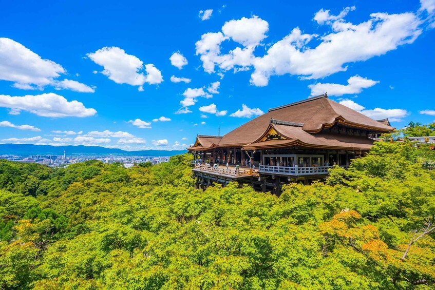 Picture 3 for Activity Kyoto Day Trip! Private Customizable Tour with Expert Guides 5