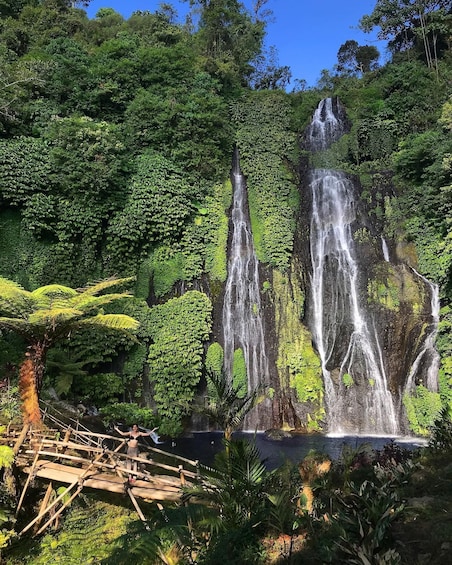A waterfall surrounded by lush greenery and a wooden bridge. 5