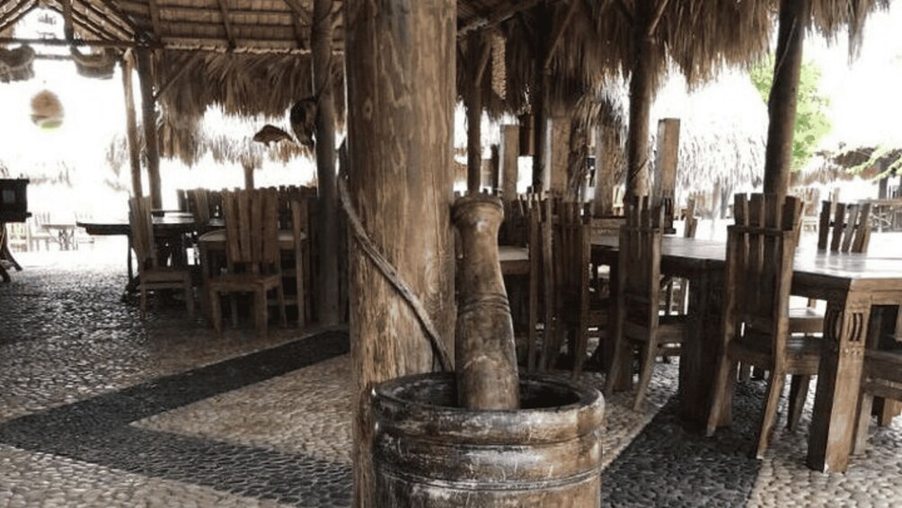 Picture 7 for Activity Bahía de las águilas glamping experience from Santo Domingo 3