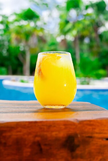 Picture 18 for Activity Cancun: Excursion to 2 Cenotes with Lunch and Transportation 3