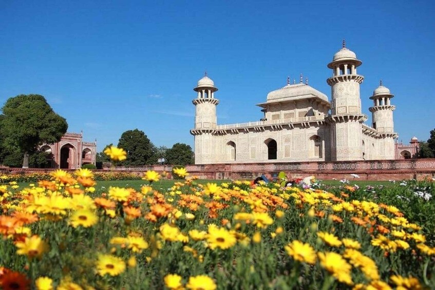 A large, ornate building with domes and minarets, surrounded by a field of yellow and orange flowers. 2