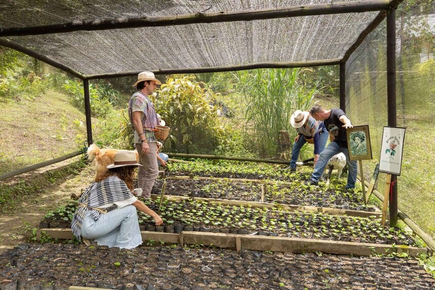 People tending to seedlings in a greenhouse. 5