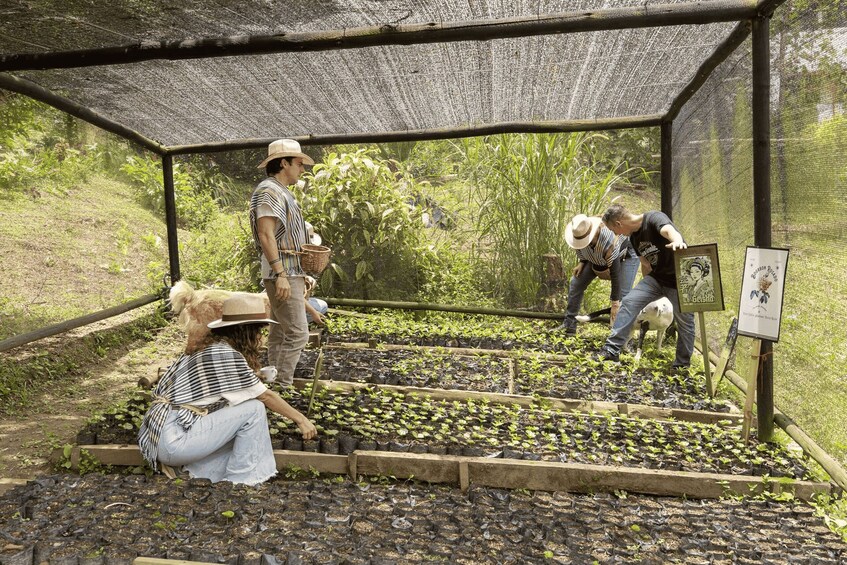 People tending to a greenhouse with plants in trays. 2