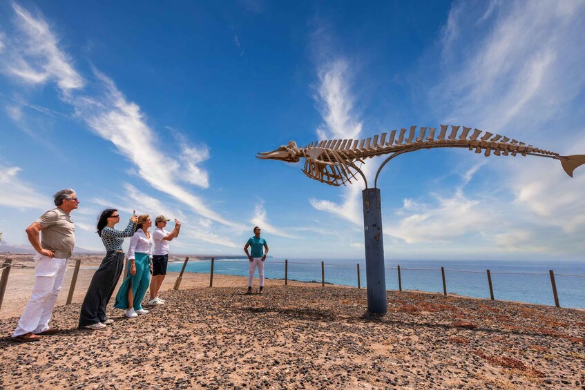 A group of people observing a large skeleton exhibit by the seaside. 3