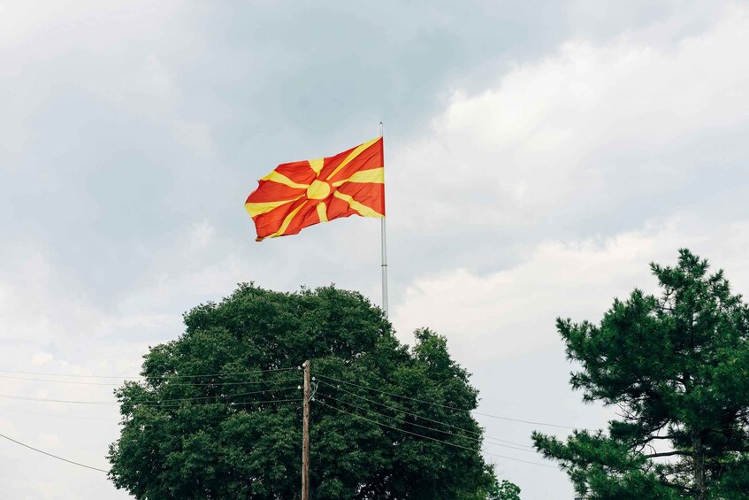 A flagpole with a flag, surrounded by trees and power lines. 4