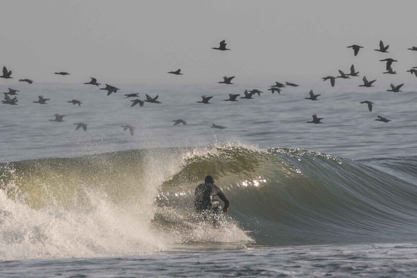 Swakopmund: Group Intermediate Surfing Session 2