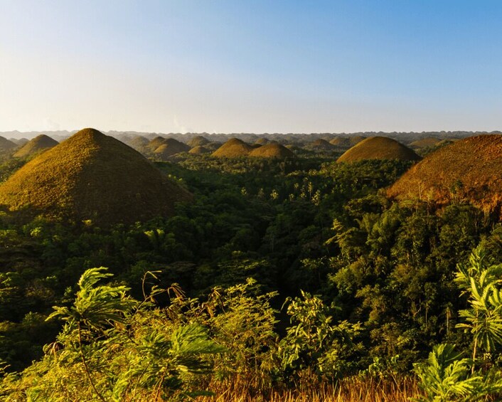 A landscape with multiple conical mounds surrounded by dense tropical vegetation. 5