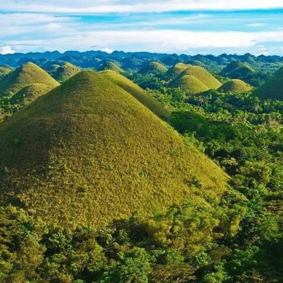 A landscape of green hills with dense vegetation. 2