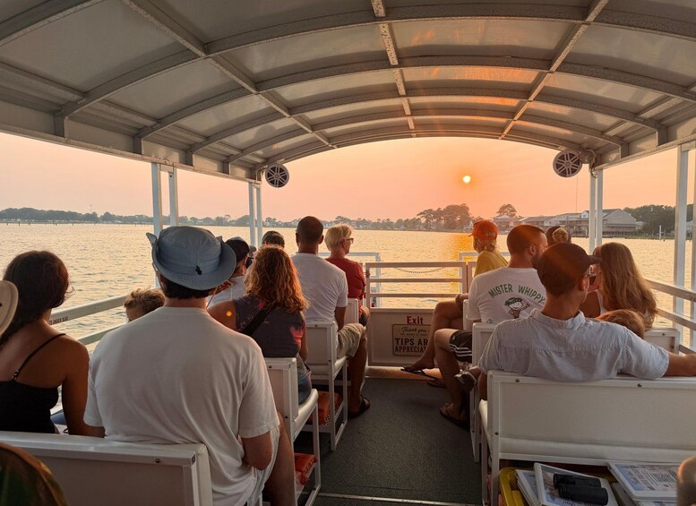 Picture 17 for Activity Famous Chincoteague Island Pony Cruise with Expert Narration 2