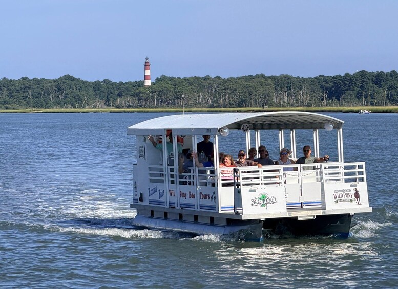 Picture 7 for Activity Famous Chincoteague Island Pony Cruise with Expert Narration 5