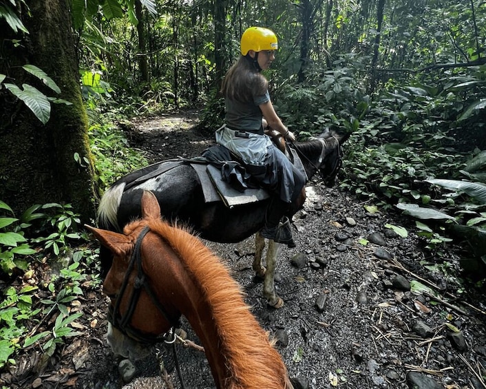 A person riding a horse on a forest trail. 2