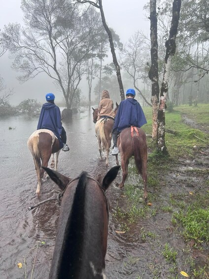 Picture 5 for Activity La Fortuna: Arenal Volcano Horseback Riding 2