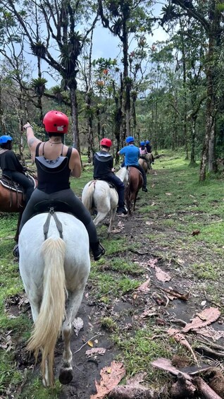 Picture 1 for Activity La Fortuna: Arenal Volcano Horseback Riding 4