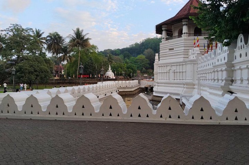 Discover Sri Lanka Kandy City Tour 4