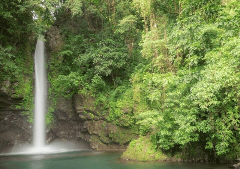 A waterfall cascading into a pool surrounded by dense green foliage. 3