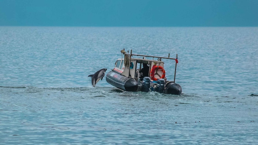 A small boat with a person on board, a life preserver, and a dolphin leaping into the water. 4
