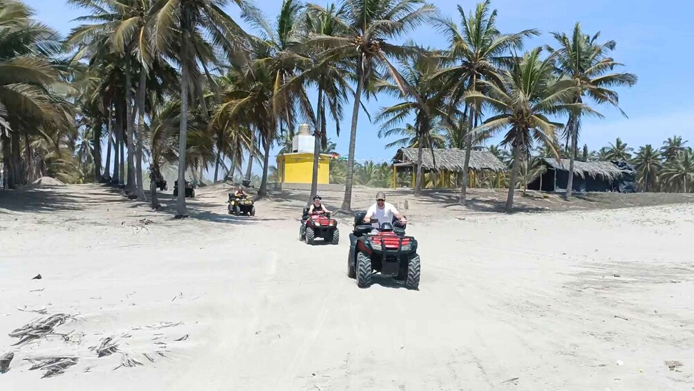 Picture 8 for Activity BeachBlast ATV's & City Tour 4