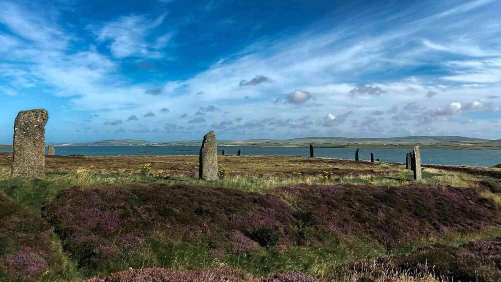 Picture 4 for Activity Neolithic Orkney Full Day Guided Tour 4