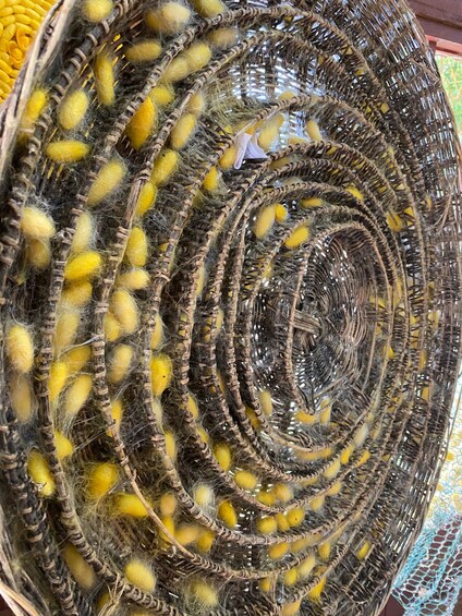 A close-up of a woven basket filled with yellow and brown fibers. 5