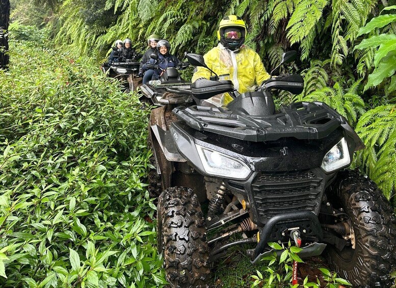 Picture 2 for Activity Madeira: Jungle Off-Road Adventure 5