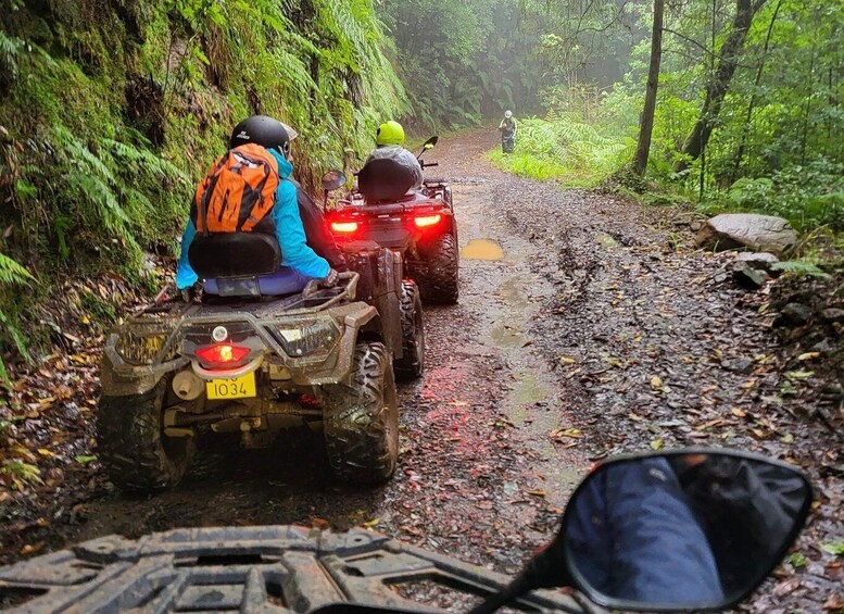 Picture 1 for Activity Madeira: Jungle Off-Road Adventure 2