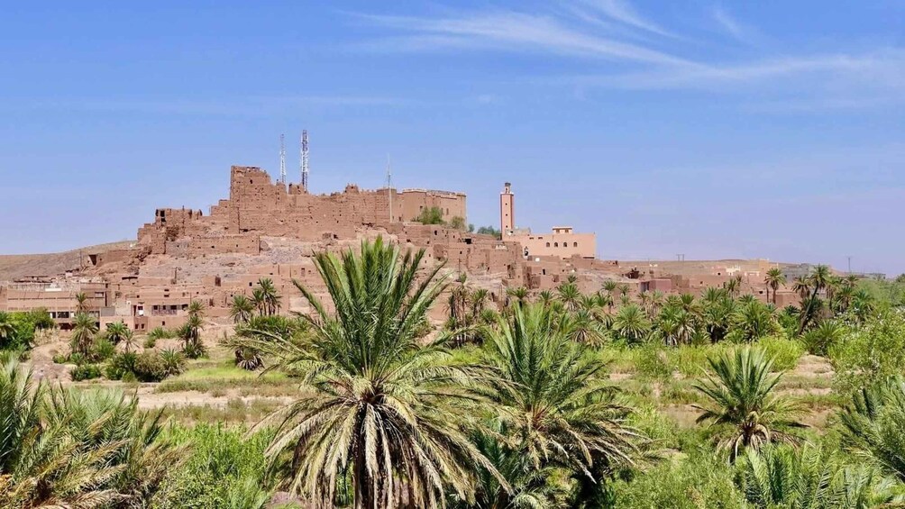 A historic fortified city with palm trees in the foreground. 2