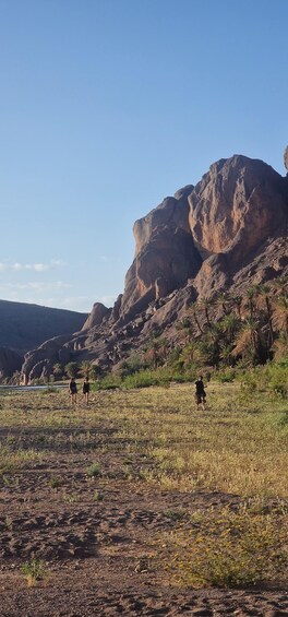A rocky landscape with a large rock formation and palm trees. 1